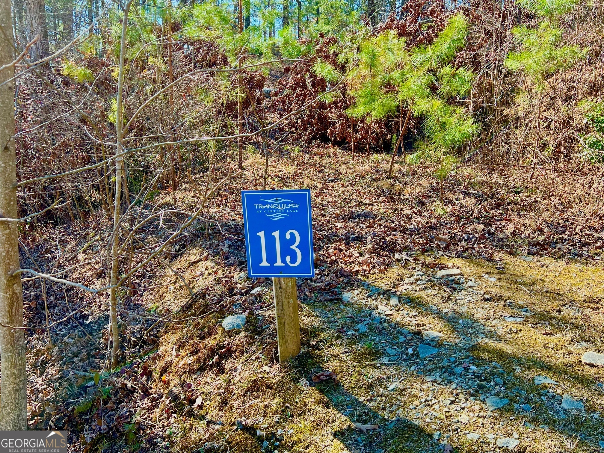 113 Beech Tree Drive Ellijay, GA 30540 - Photo 10 of 22