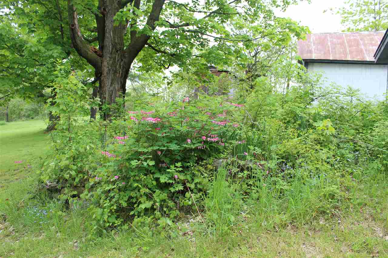 2719 Old Stage Road Benson, VT 05743 - Photo 18 of 23