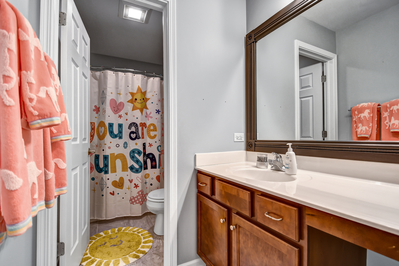 25758 South Basswood Road Channahon, IL 60410 - Photo 30 of 42 a bathroom with a sink and a mirror