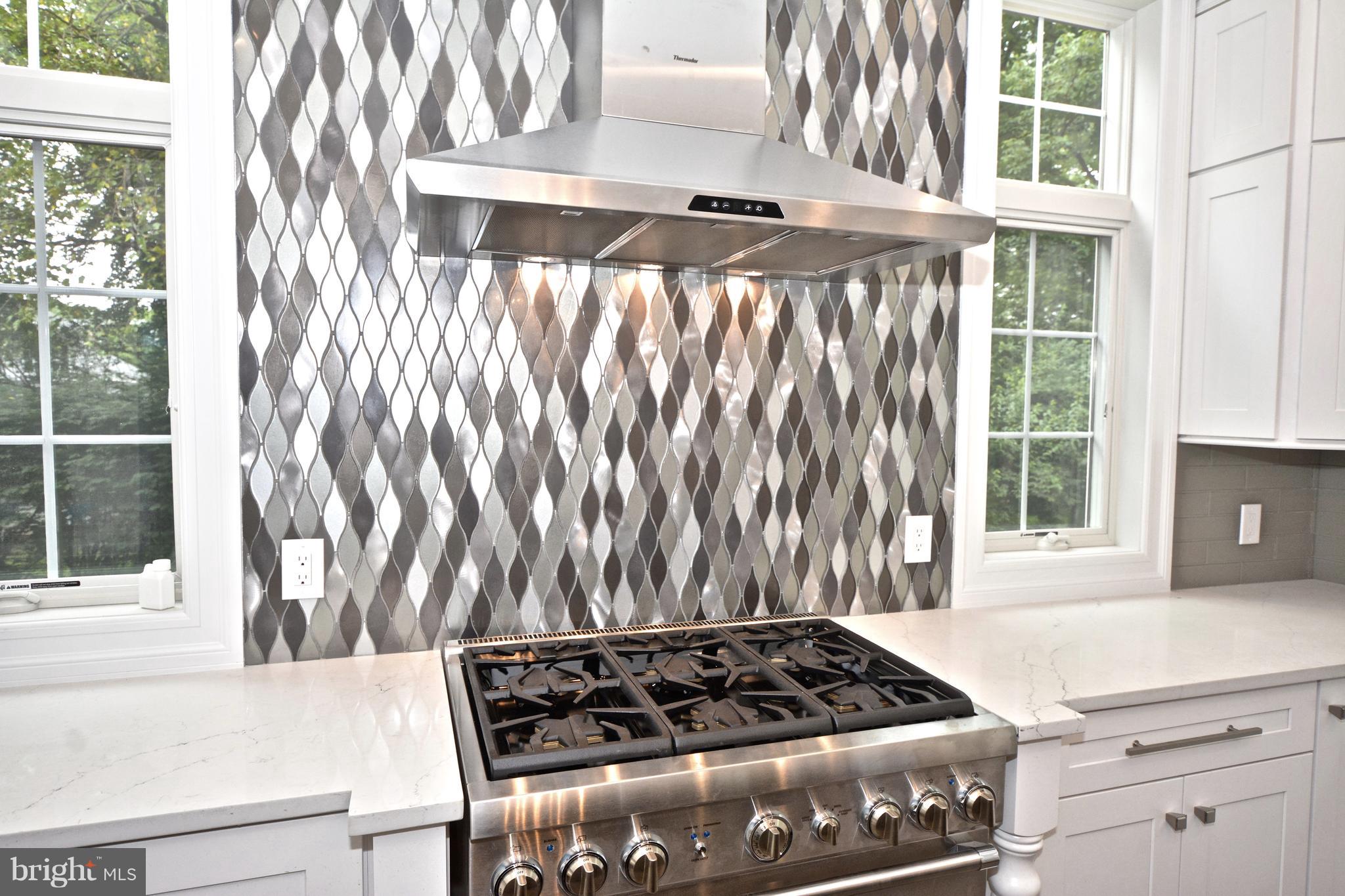 148 Herrontown Road Princeton, NJ 08540 - Photo 16 of 37 Thermador stove and hood.