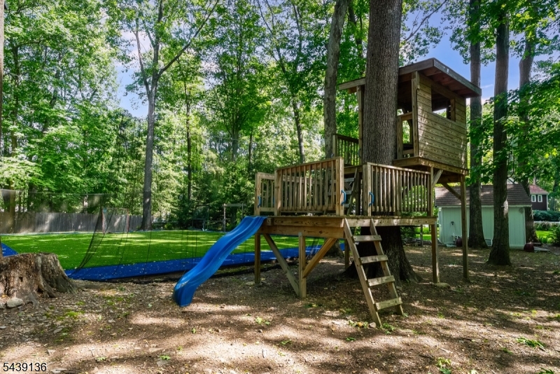 11 Red Oak Row Chester, NJ 07930 - Photo 47 of 50