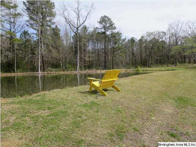 66 Strickland Road Cullman, AL 35057 - Photo 17 of 17