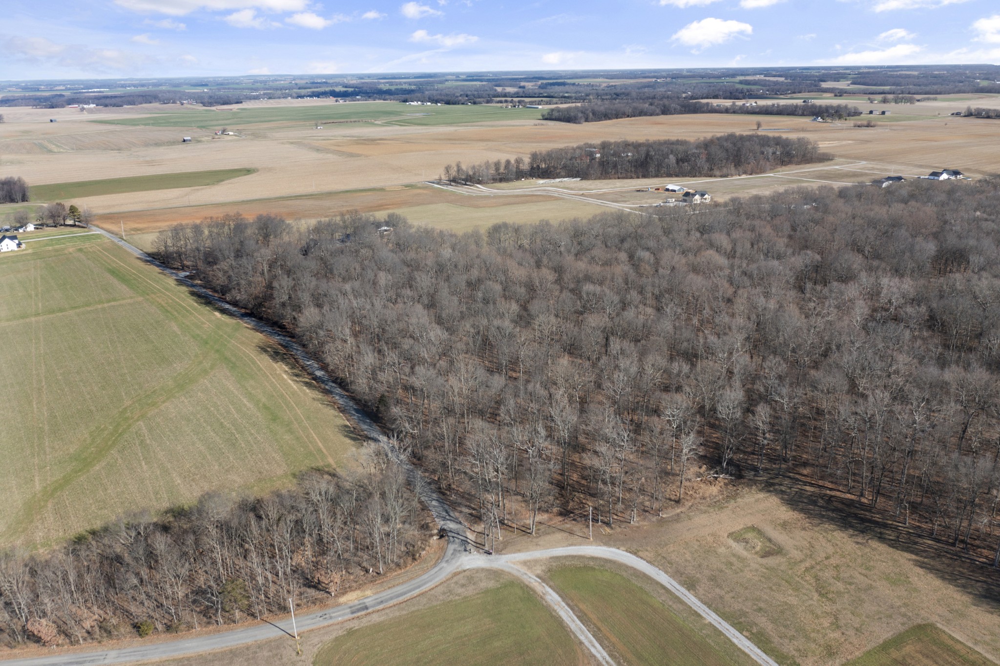 7027 Cowan Road Springfield, TN 37172 - Photo 90 of 92