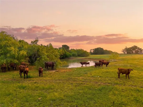 $1,300,000 | 321 Hcr 2122 Street East, Whitney, TX 76692
