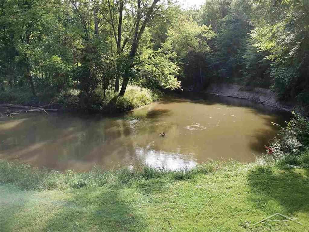 431 South Geneva Road Shepherd, MI 48883 - Photo 26 of 32