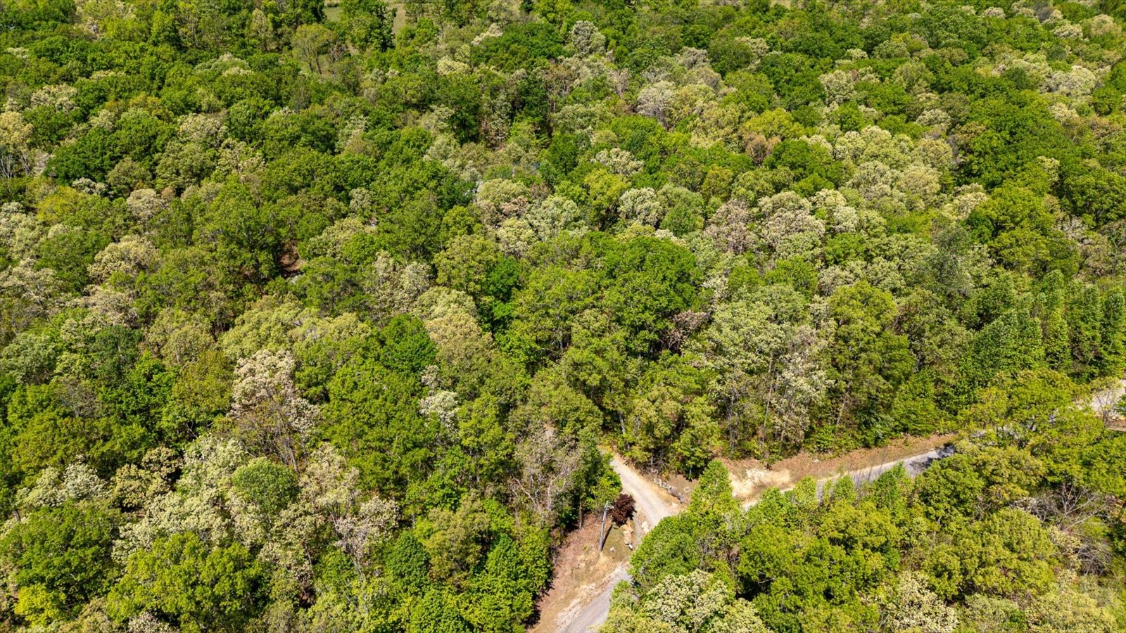 557 Green Forest Road Dunlap, TN 37327 - Photo 42 of 57