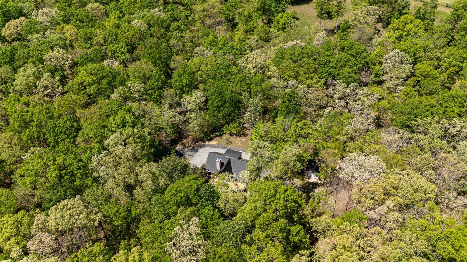 557 Green Forest Road Dunlap, TN 37327 - Photo 47 of 57