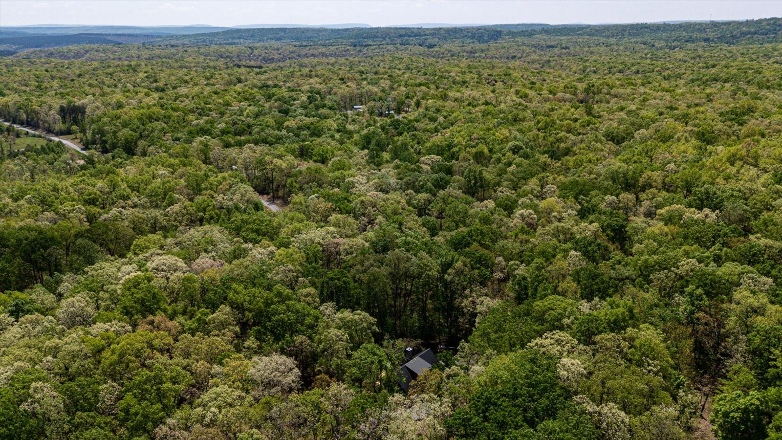 557 Green Forest Road Dunlap, TN 37327 - Photo 48 of 57 a view of a field with an trees