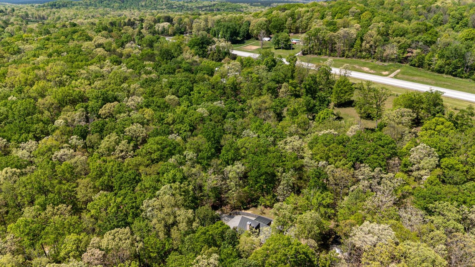 557 Green Forest Road Dunlap, TN 37327 - Photo 50 of 57 a view of a forest with a houses