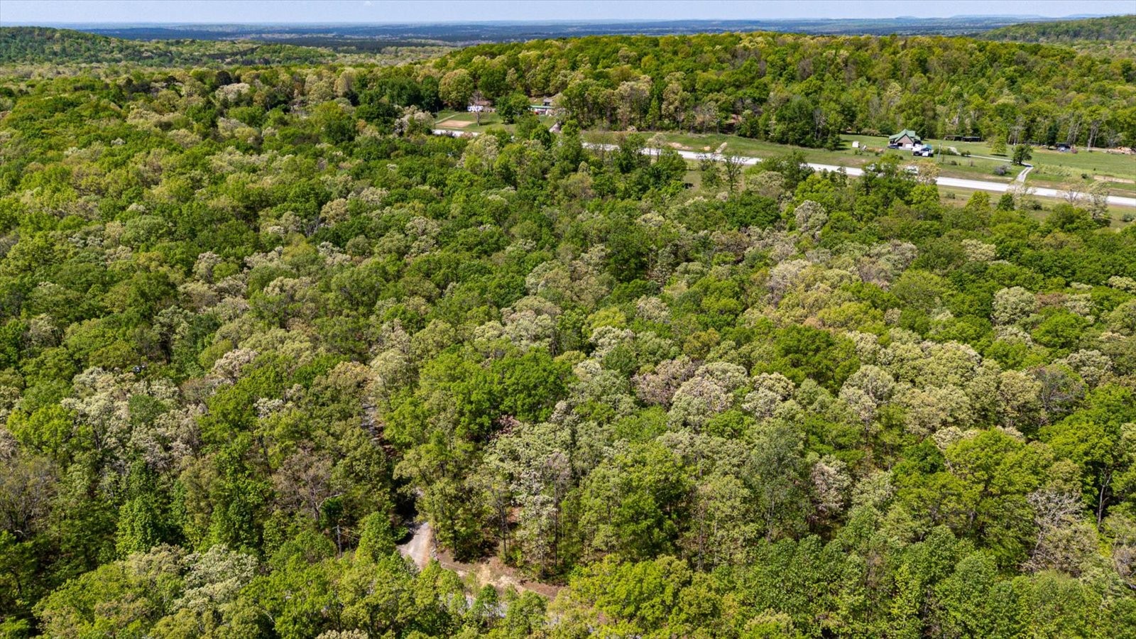 557 Green Forest Road Dunlap, TN 37327 - Photo 51 of 57 a view of a yard with yellow plant