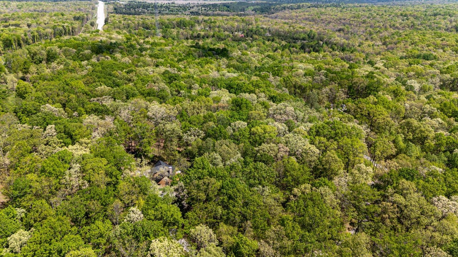 557 Green Forest Road Dunlap, TN 37327 - Photo 53 of 57 a view of a big yard with plants and large trees