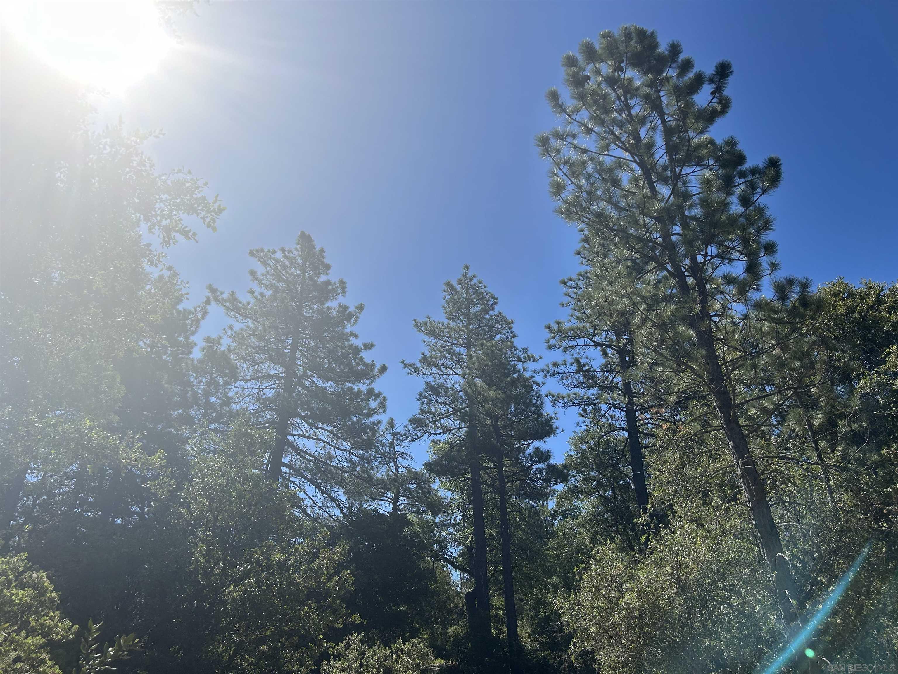 8 Saunders Meadow Road Idyllwild, CA 92549 - Photo 12 of 12 a backyard of a house