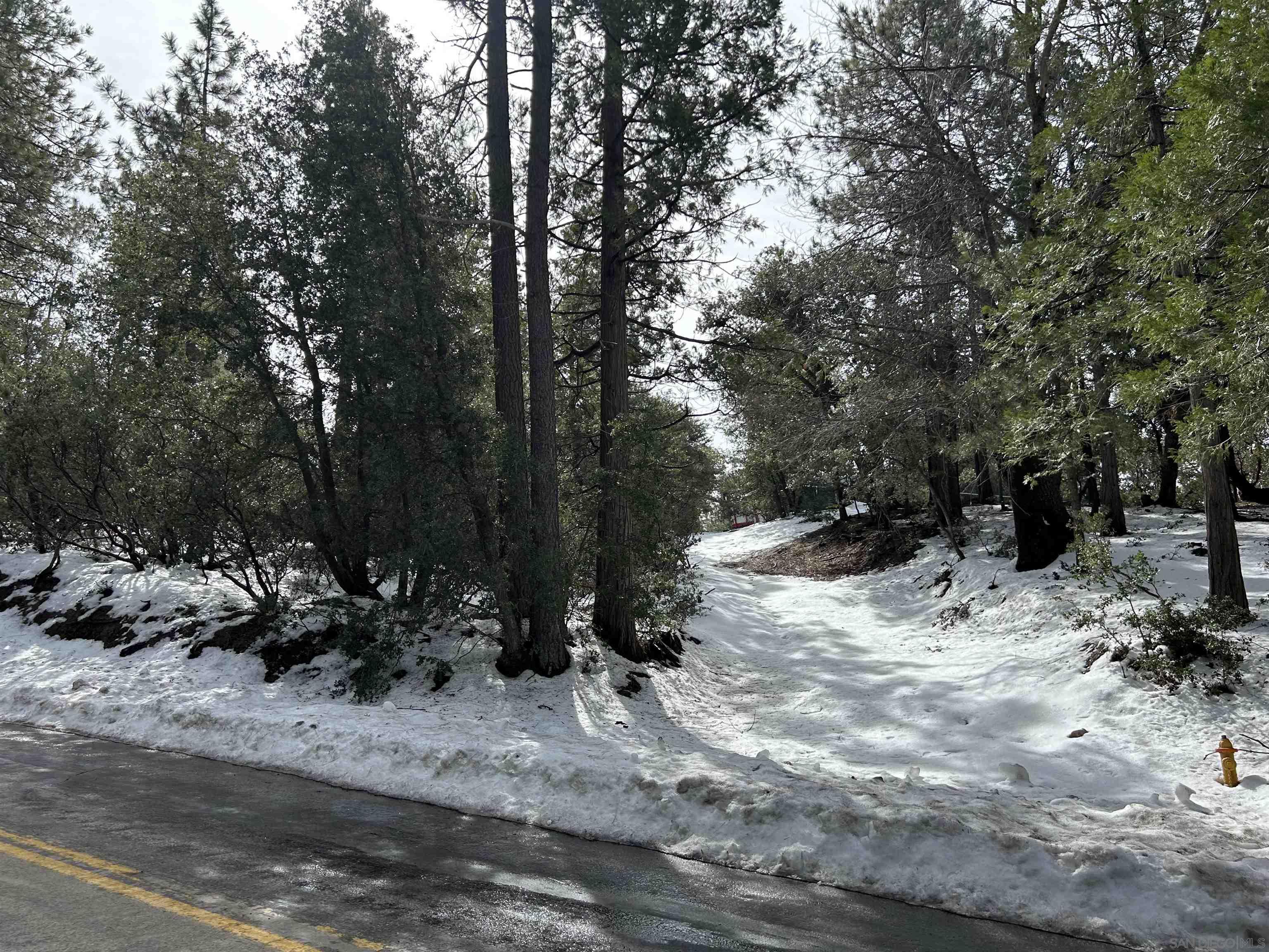 8 Saunders Meadow Road Idyllwild, CA 92549 - Photo 4 of 12 a view of outdoor space with trees