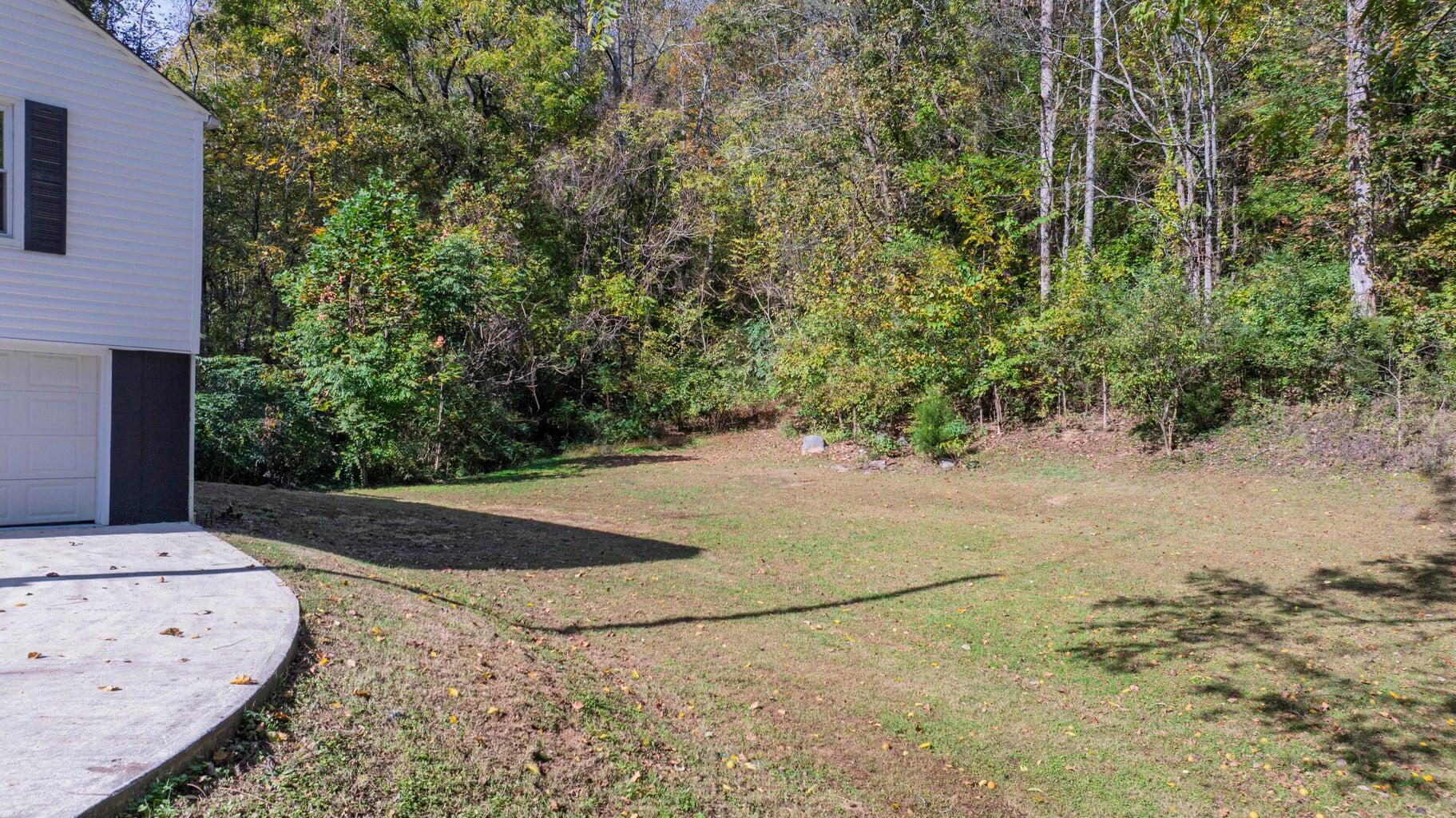134 Riddle Street Dayton, TN 37321 - Photo 26 of 32 Back Yard