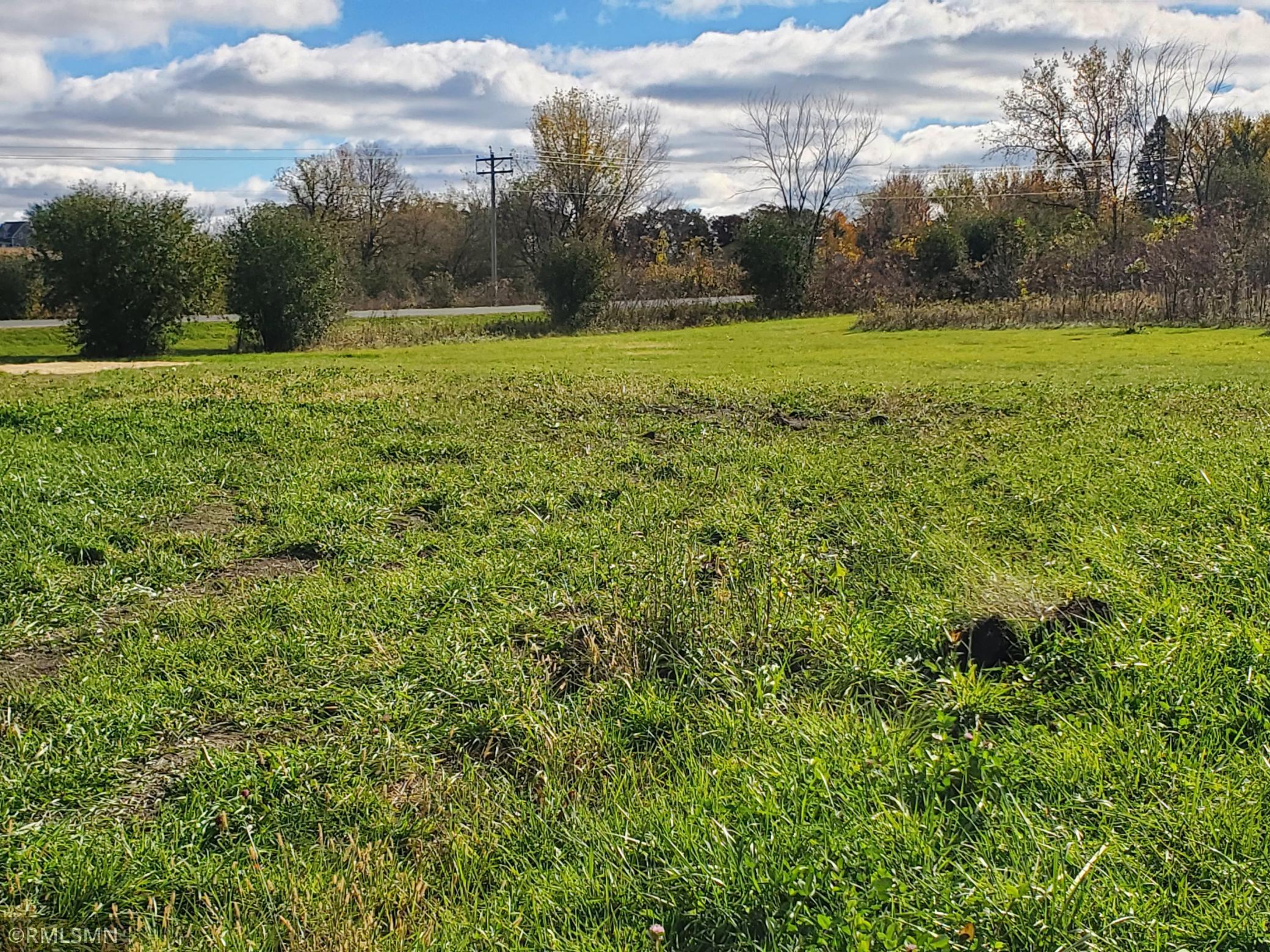 183 Pintail Street Baldwin, WI 54002 - Photo 3 of 9