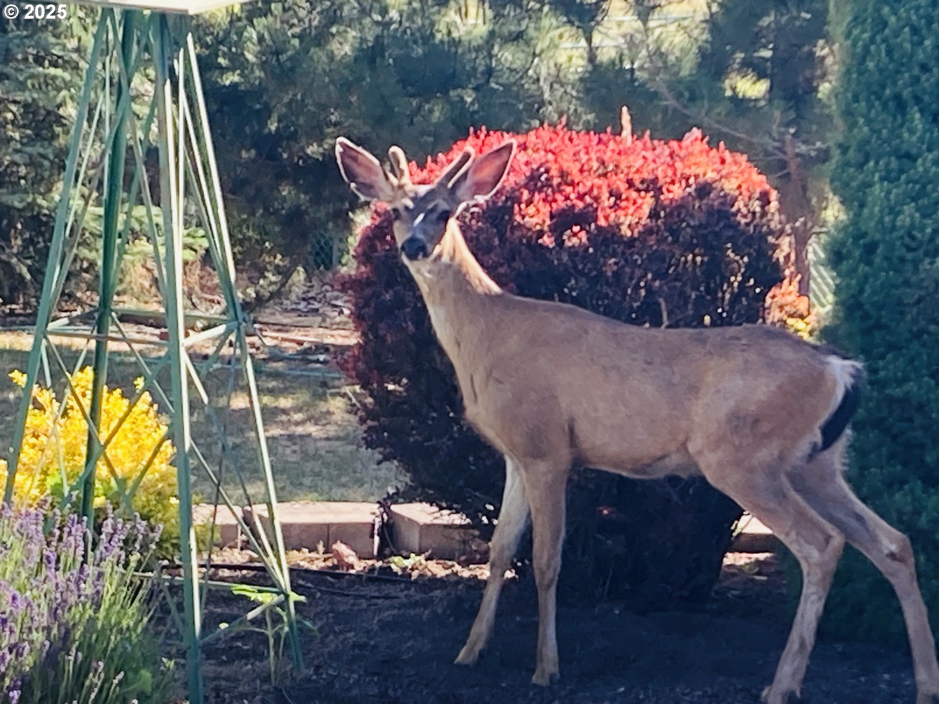 317 South Wayne R Road Tygh Valley, OR 97063 - Photo 34 of 35