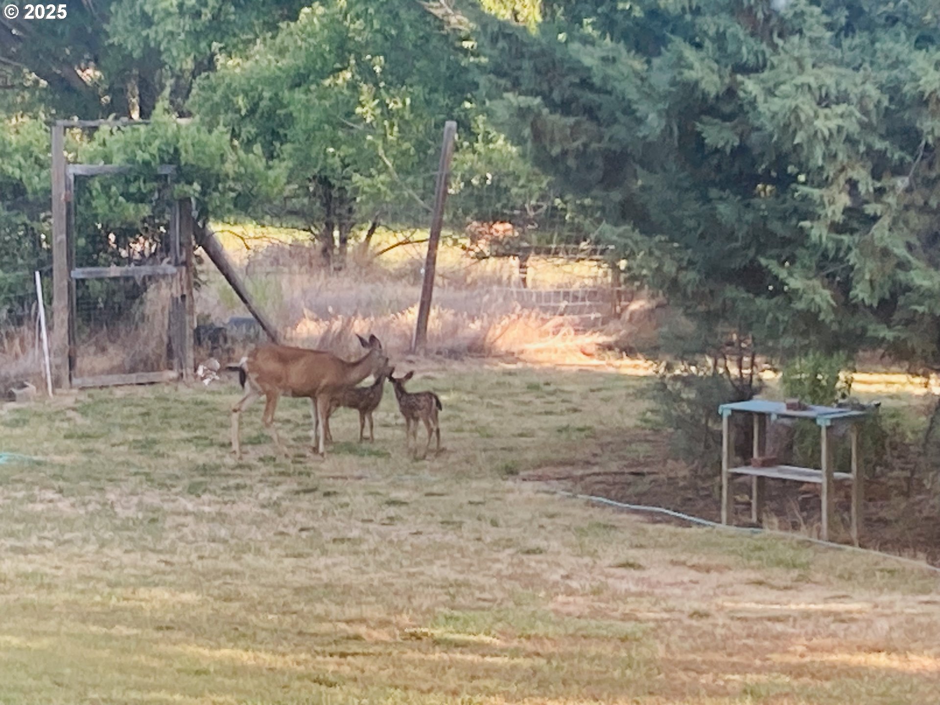 317 South Wayne R Road Tygh Valley, OR 97063 - Photo 35 of 35