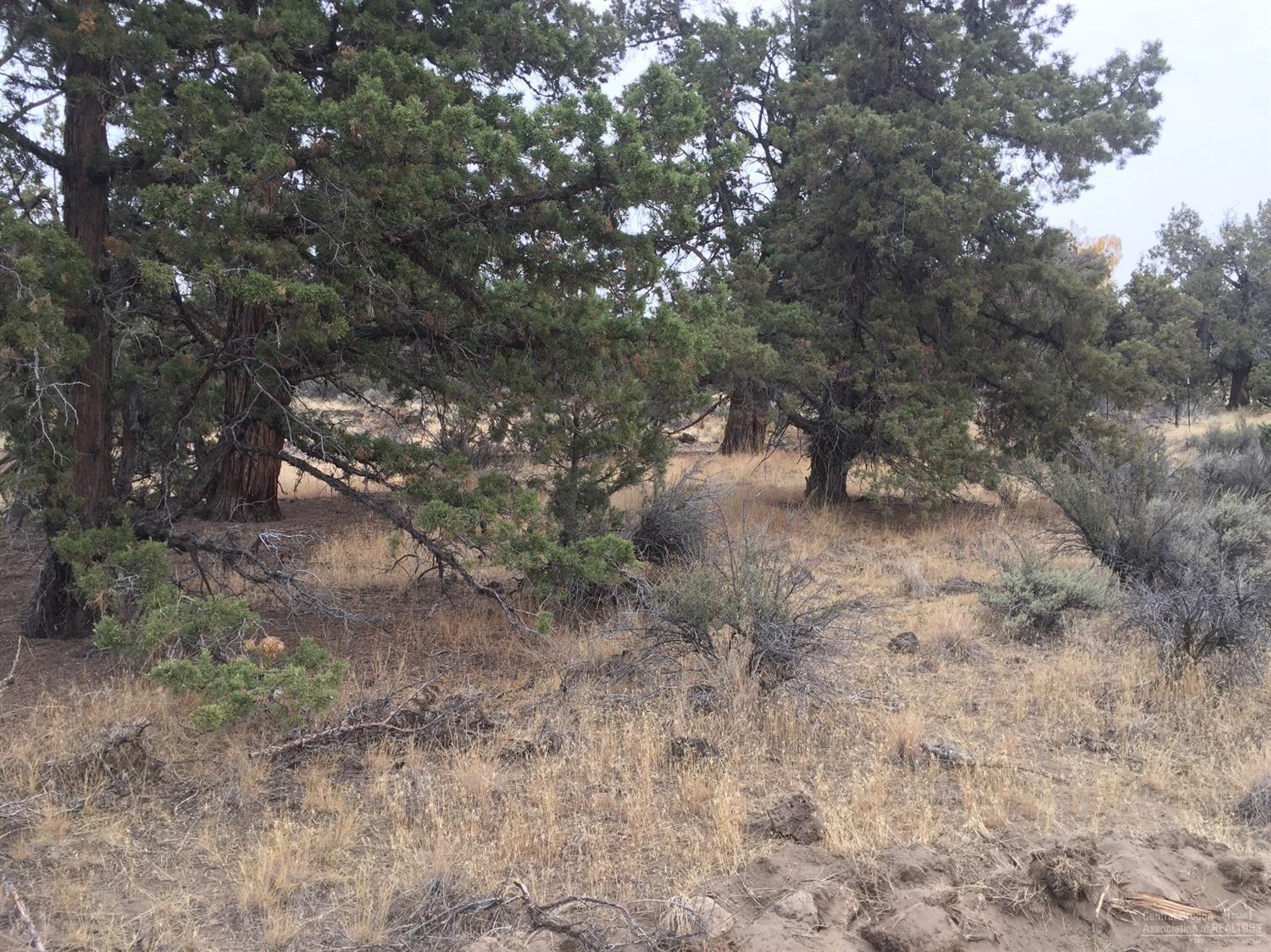 2017 Southwest Gift Road Bend, OR 97703 - Photo 14 of 21 Gallery Image 14