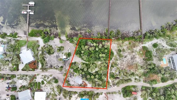 a bunch of flowers are in a garden