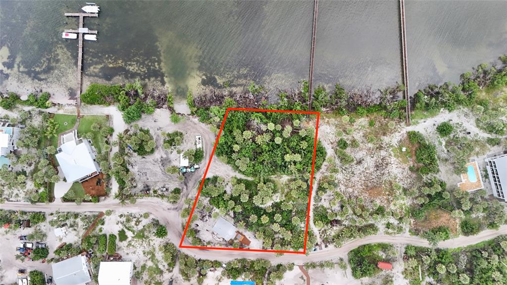 9144 Carter Street Placida, FL 33946 - Photo 8 of 19 a bunch of flowers are in a garden