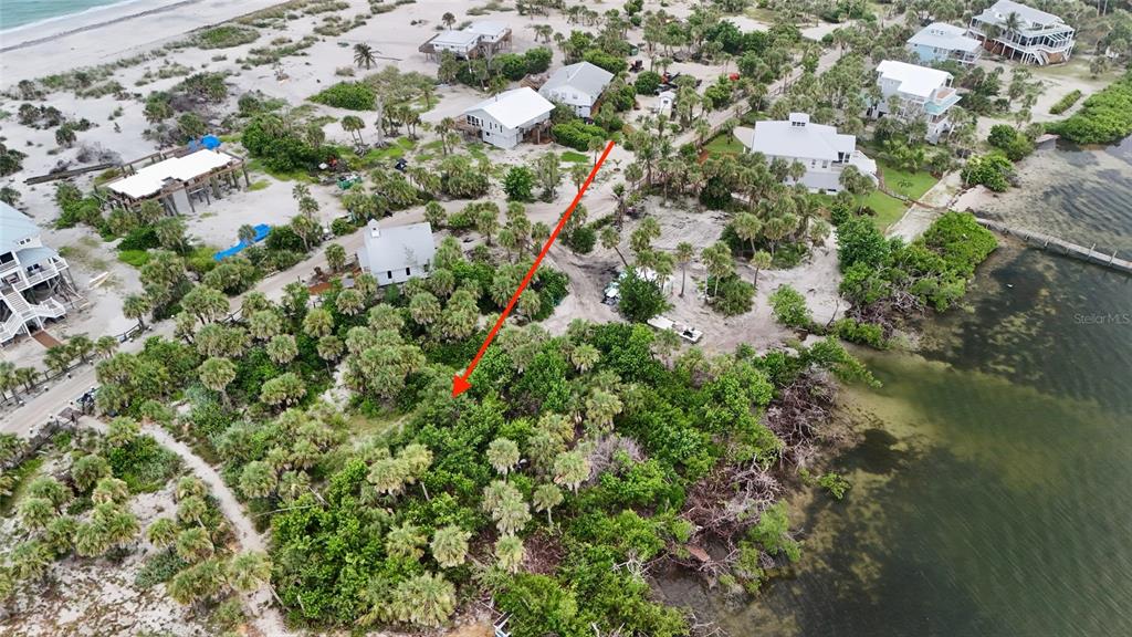 9144 Carter Street Placida, FL 33946 - Photo 10 of 19 a view of a tree