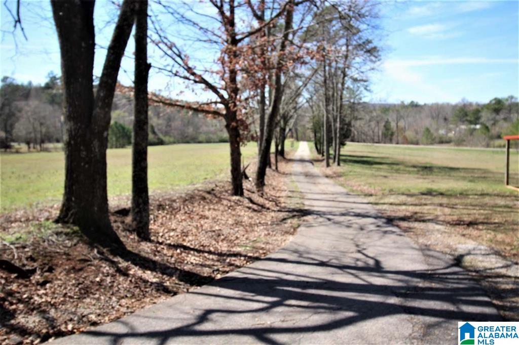 5913 Miles Spring Road Pinson, AL 35126 - Photo 36 of 43