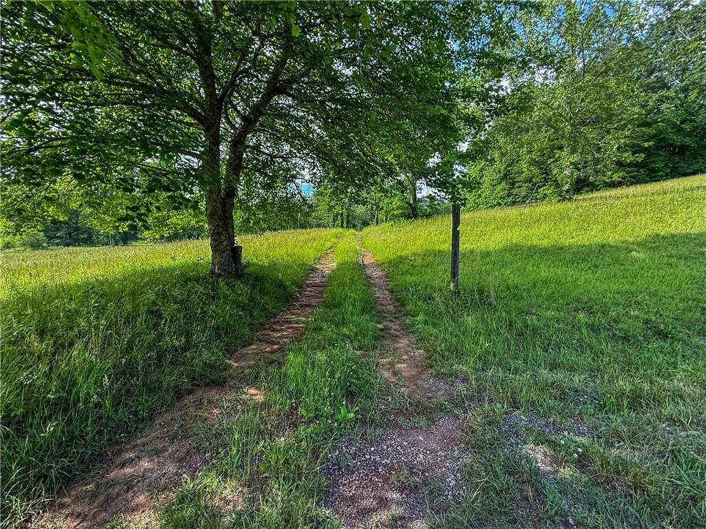 239 Glen Elliott Road Suches, GA 30572 - Photo 6 of 32