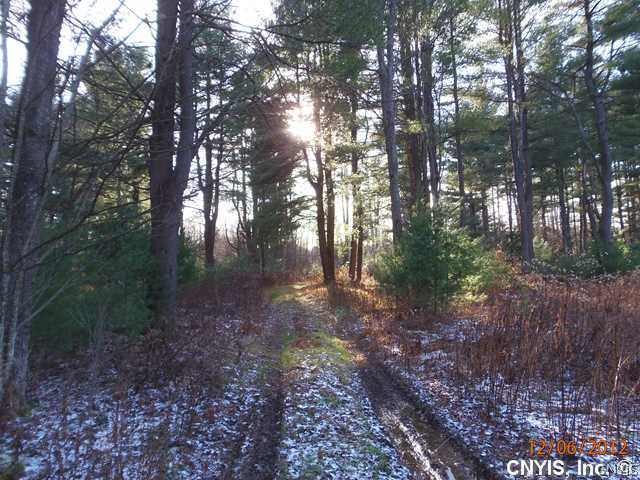 39 Island Road Phoenix, NY 13135 - Photo 1 of 1 Land