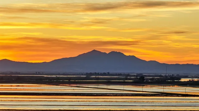 a view of city and mountain