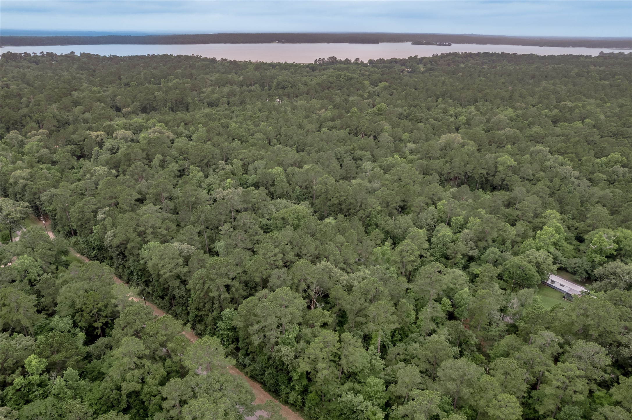 Lot 07 Oak Drive Trinity, TX 75862 - Photo 18 of 36