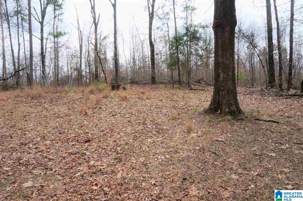 8191 Advent Cutoff Road, Unit 2 97 ACRES Trussville, AL 35173 - Photo 2 of 10