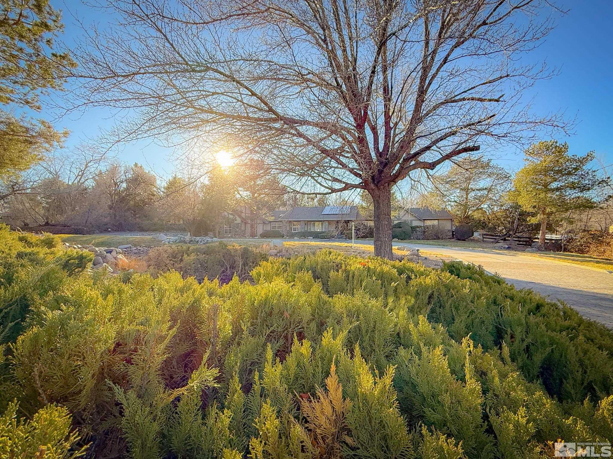 3775 Clover Way Reno, NV 89509 - Photo 40 of 40 a view of yard with green space