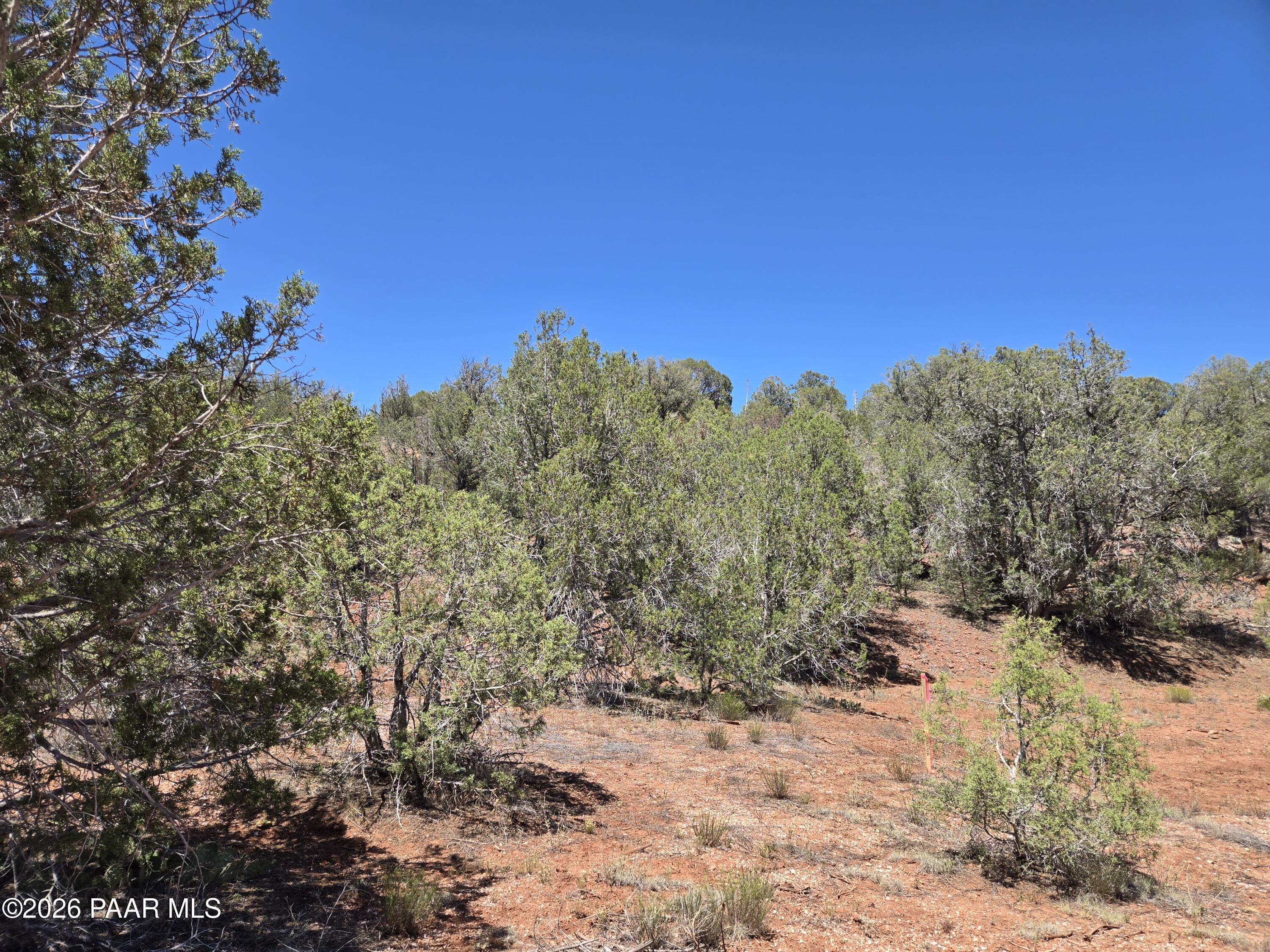450 Arizona Road Ash Fork, AZ 86320 - Photo 11 of 16 20260629_135725