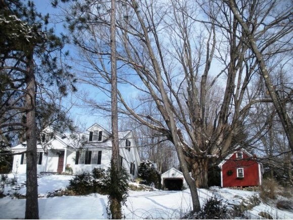 20 Walnut Hill Road Amherst, NH 03031 - Photo 1 of 1