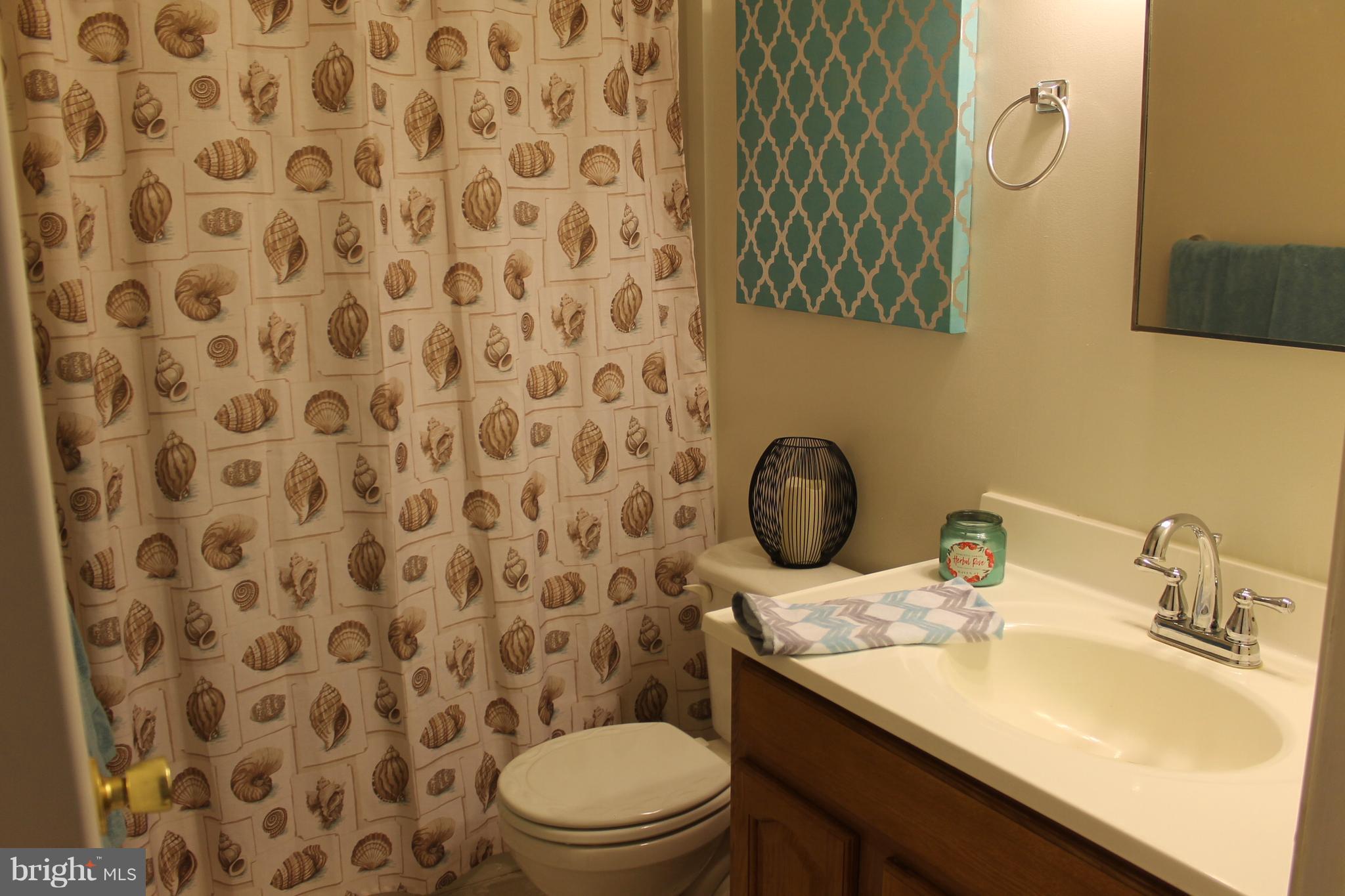 159 Porters Bridge Road Colora, MD 21917 - Photo 10 of 19 Bath