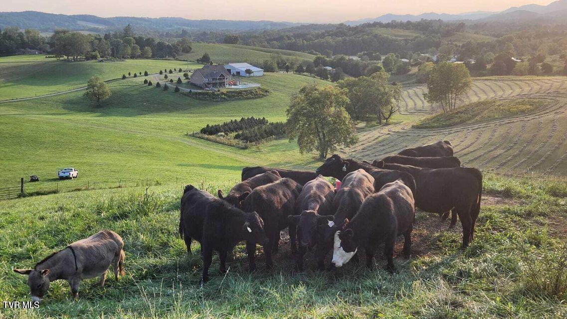 251 Fee Trail Ewing, VA 24248 - Photo 81 of 84 20250227195954308255000000-o