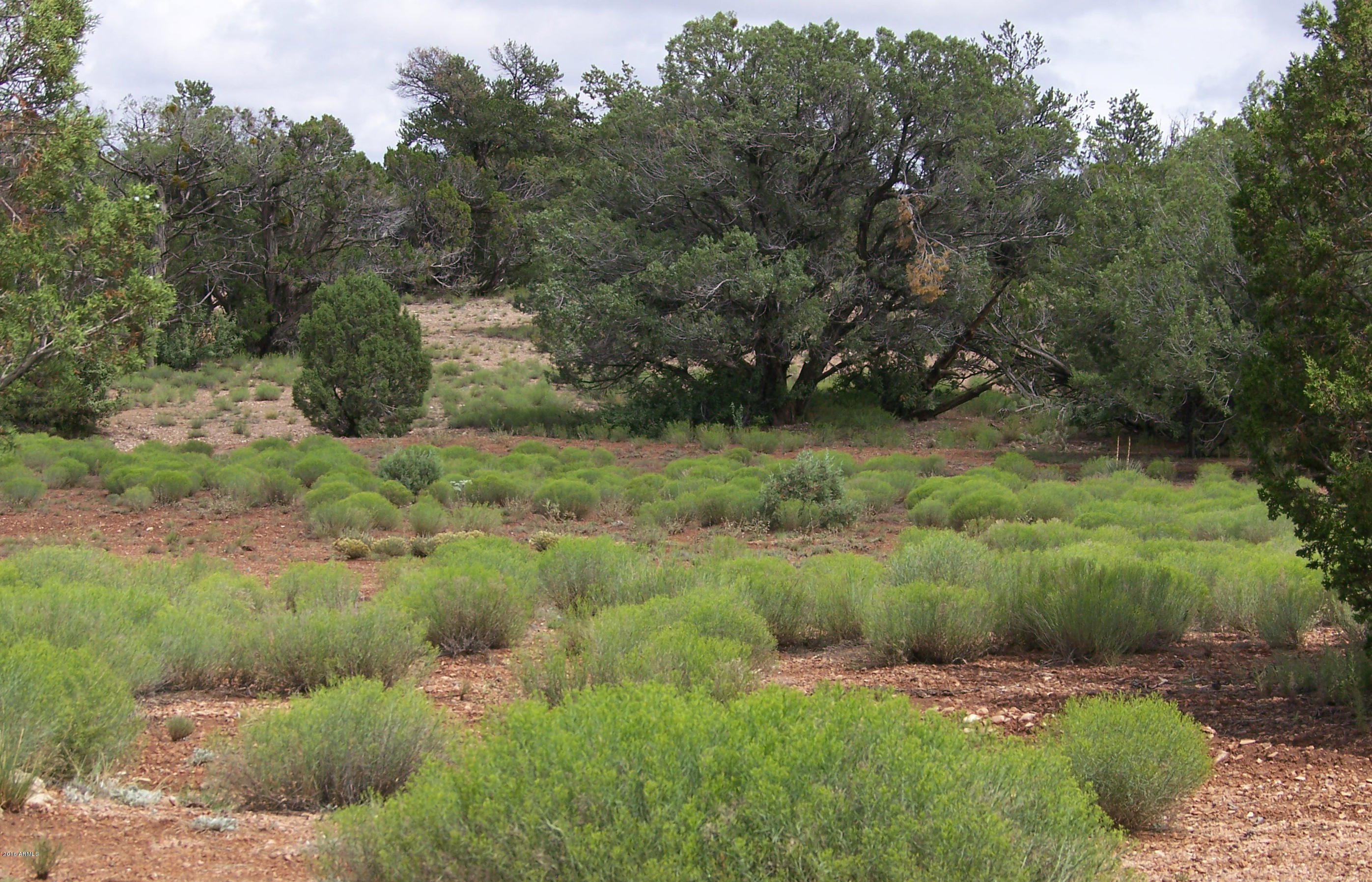 Lot 10 North Juniperwood Ranch Road, Unit 213 Ash Fork, AZ 86320 - Photo 2 of 13 1UphillC