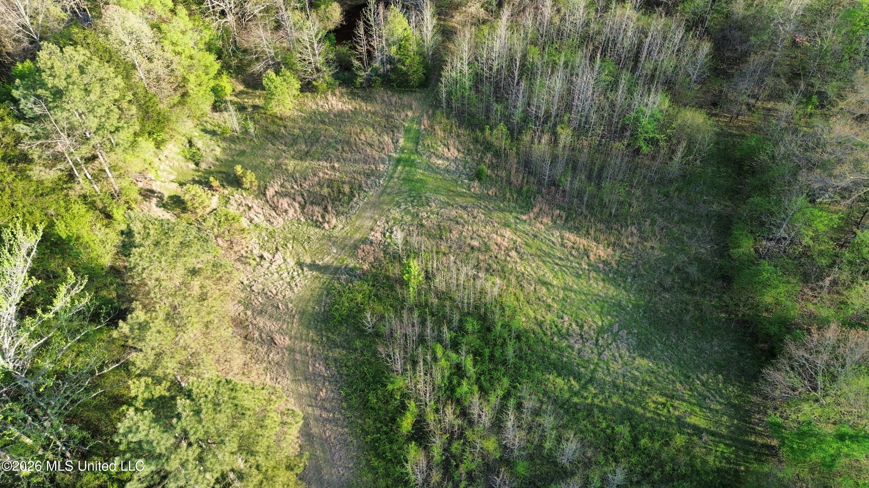 3581 Countyline Tate Road Coldwater, MS 38618 - Photo 6 of 12 Photo Apr 01 2026, 5 14 00 PM