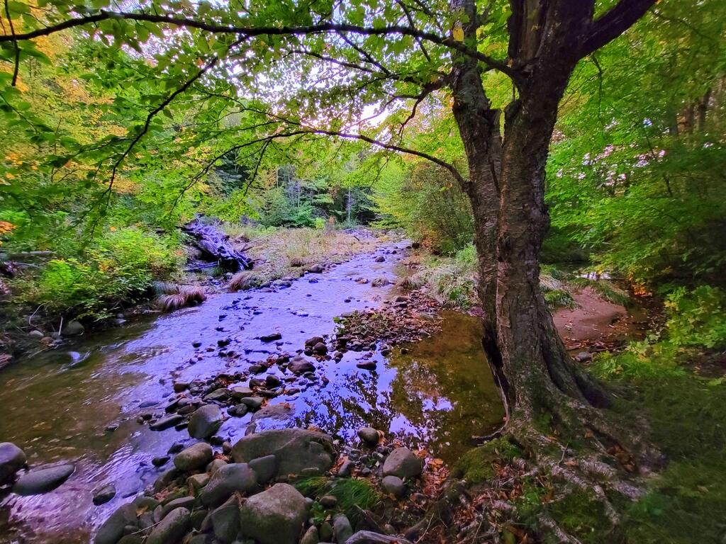 880 Weld Road Wilton, ME 04294 - Photo 3 of 34 Wilson Stream