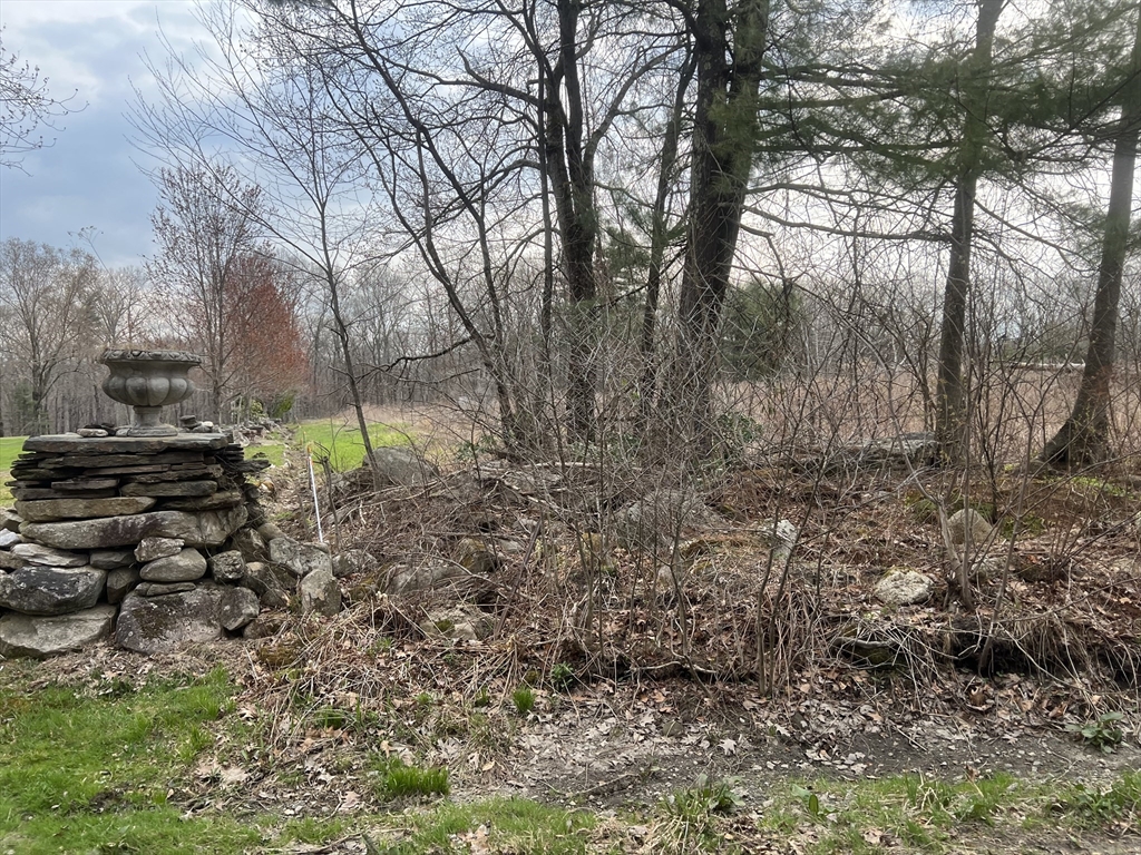 0 Tekoa Road Westfield, MA 01085 - Photo 2 of 4 a backyard of a house with lots of plants and trees