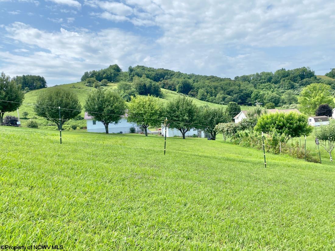 962 Stony Run Road Buckhannon, WV 26201 - Photo 18 of 38 Gallery Image 18