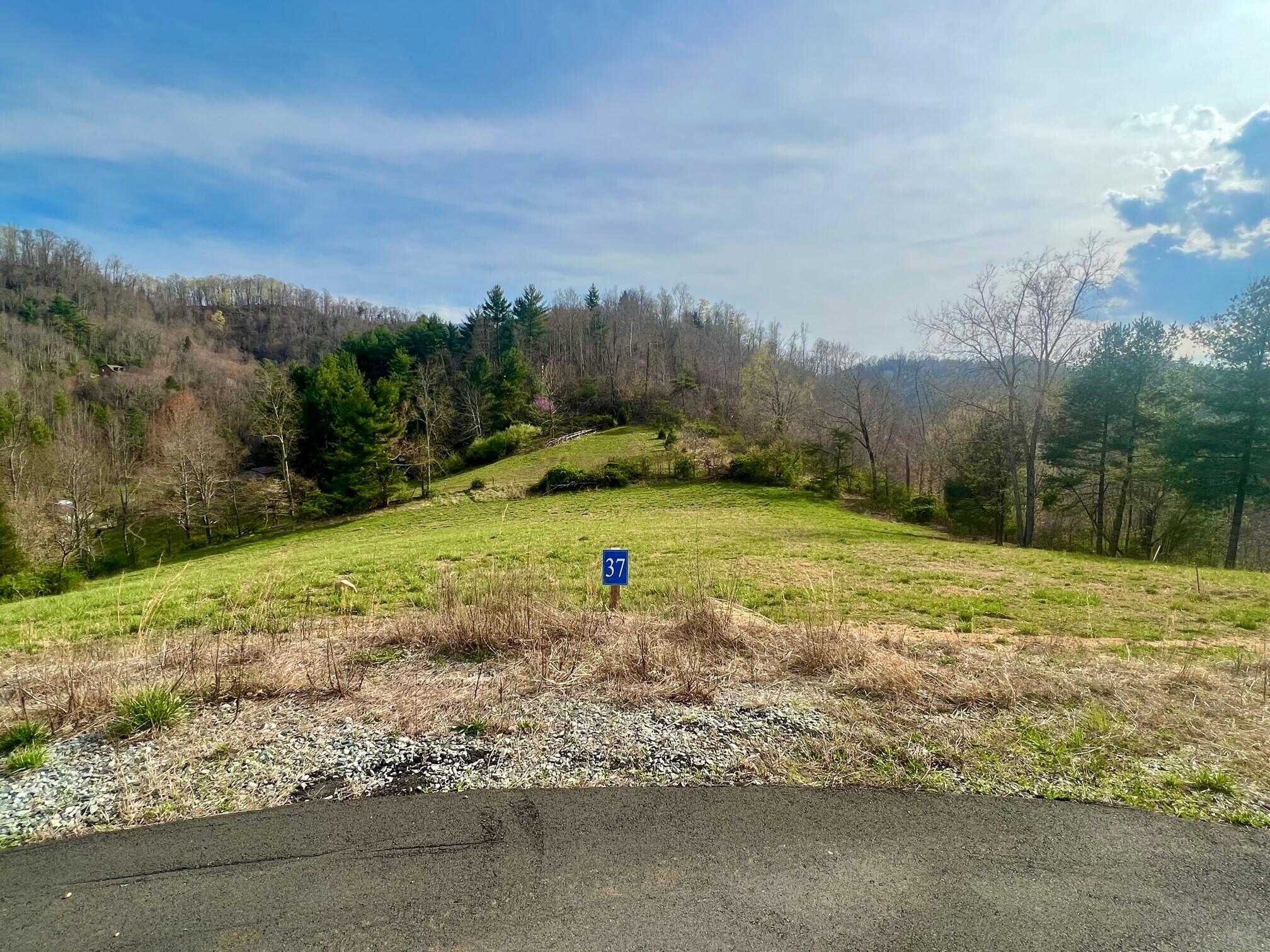 37 Cowan Town Road, Unit 37 Butler, TN 37640 - Photo 3 of 11 Lot 37