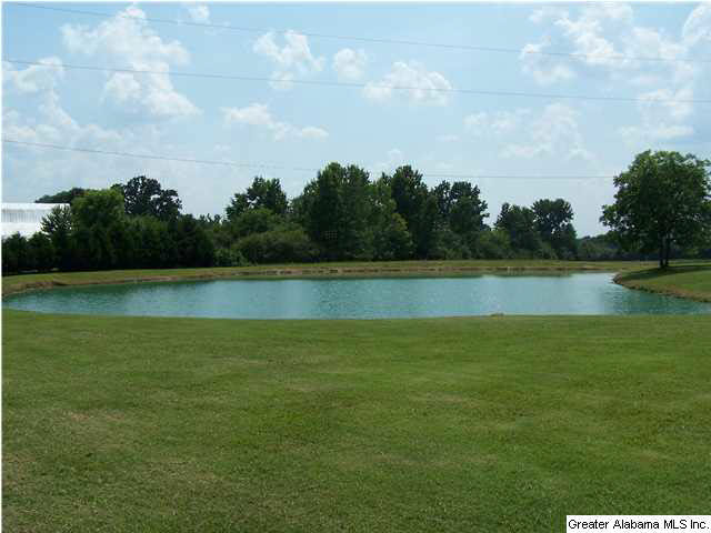 2066 Zion Hill Road Horton, AL 35980 - Photo 5 of 32
