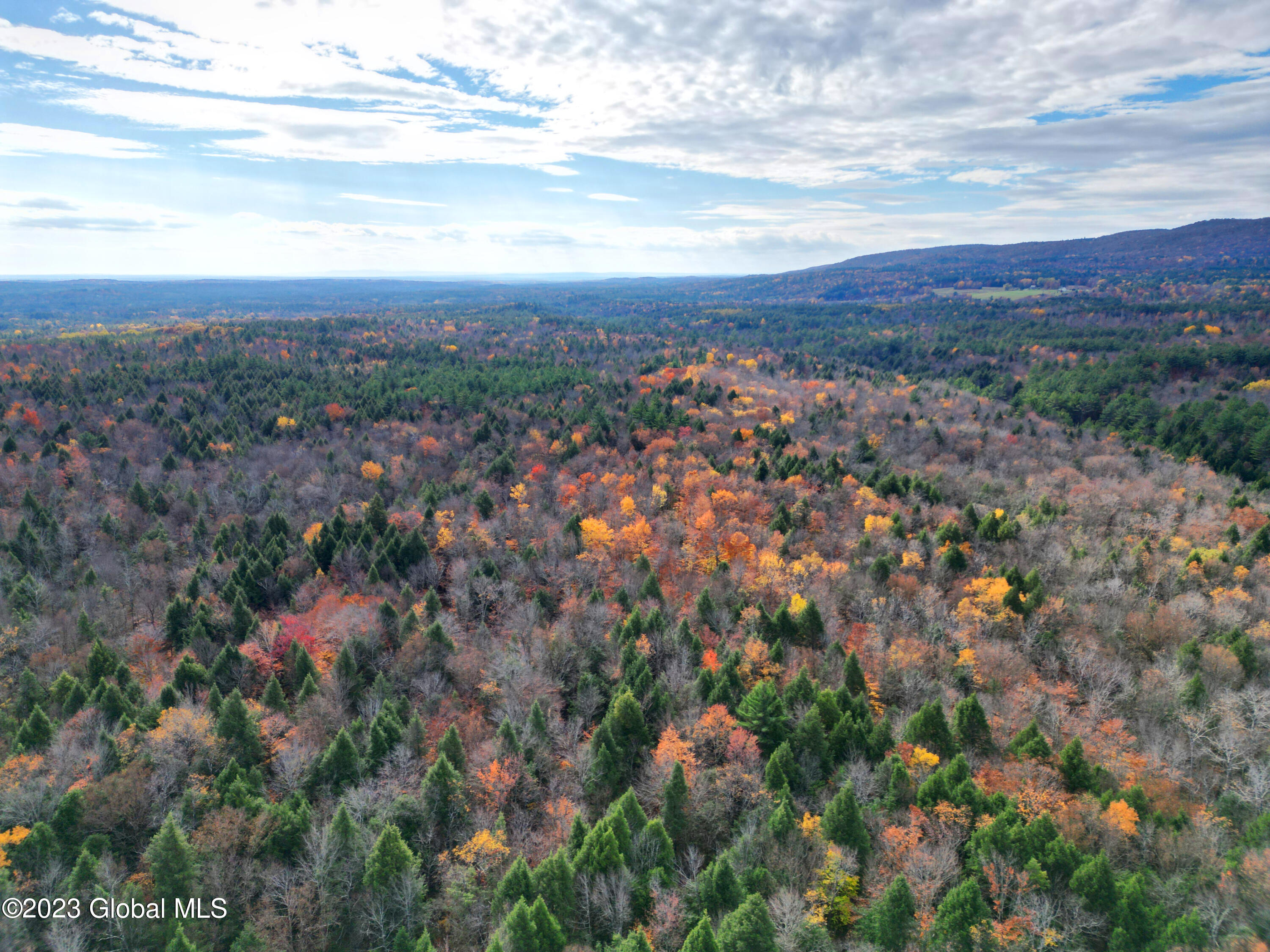 154 Alpine Meadows Road Greenfield, NY 12859 - Photo 1 of 1 154 Alpine Meadows Rd, Greenfield, NY