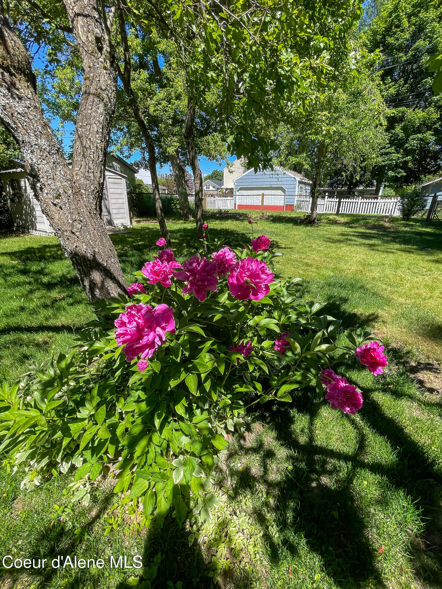 509 South Olive Avenue Sandpoint, ID 83864 - Photo 35 of 39 509 Olive Ave-35