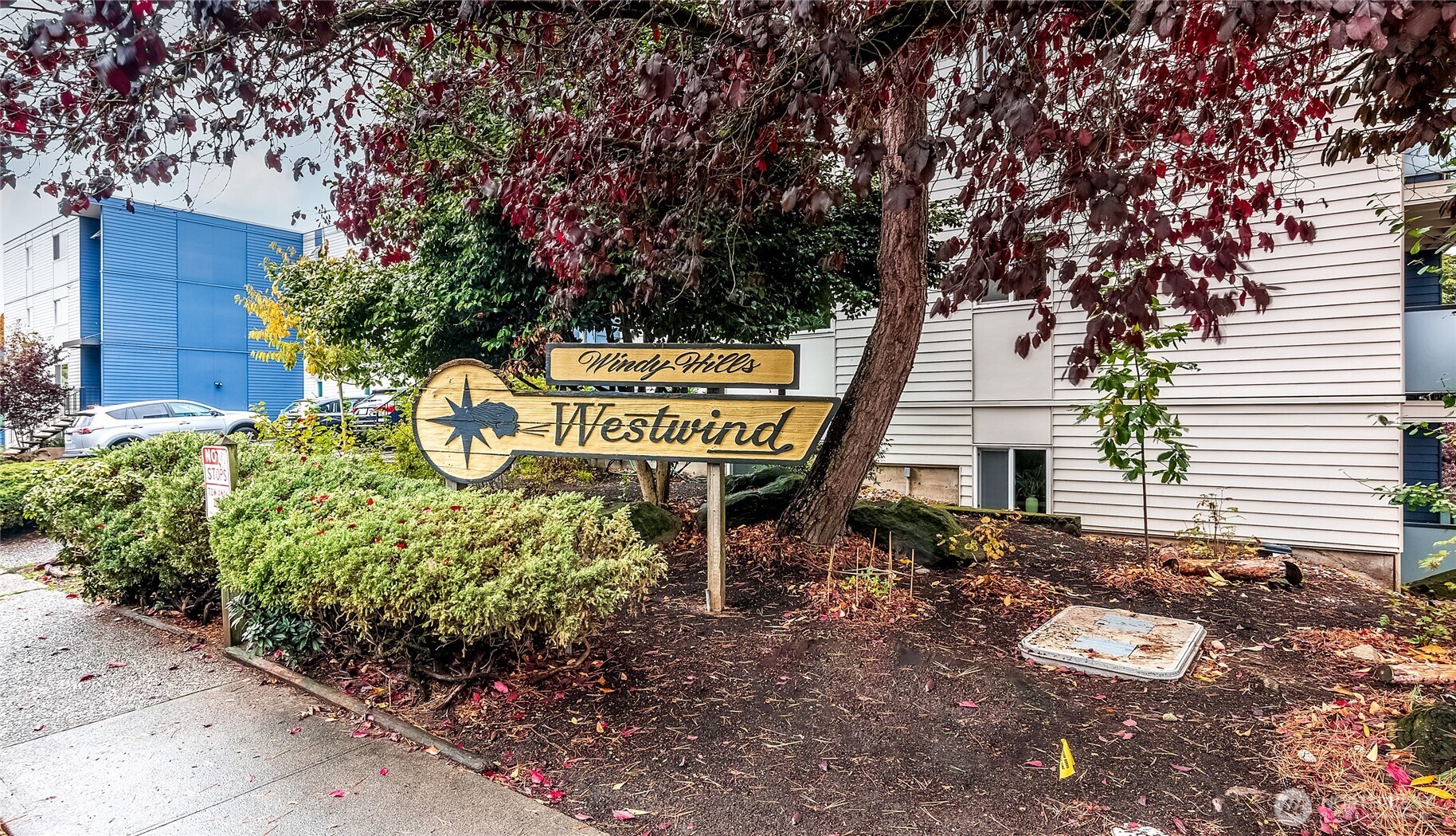 3722 27th Place West, Unit 101 Seattle, WA 98199 - Photo 3 of 17 a front view of a house with garden