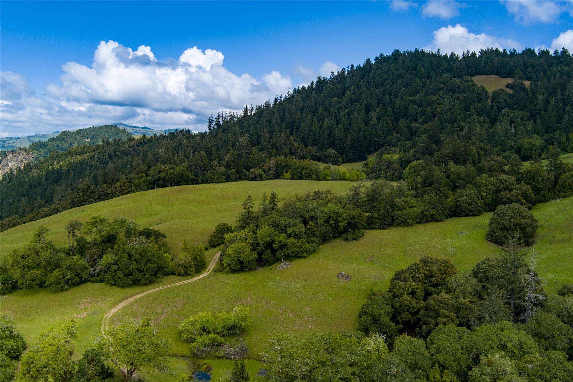 0 Reed Mountain Road Garberville, CA 95542 - Photo 8 of 19