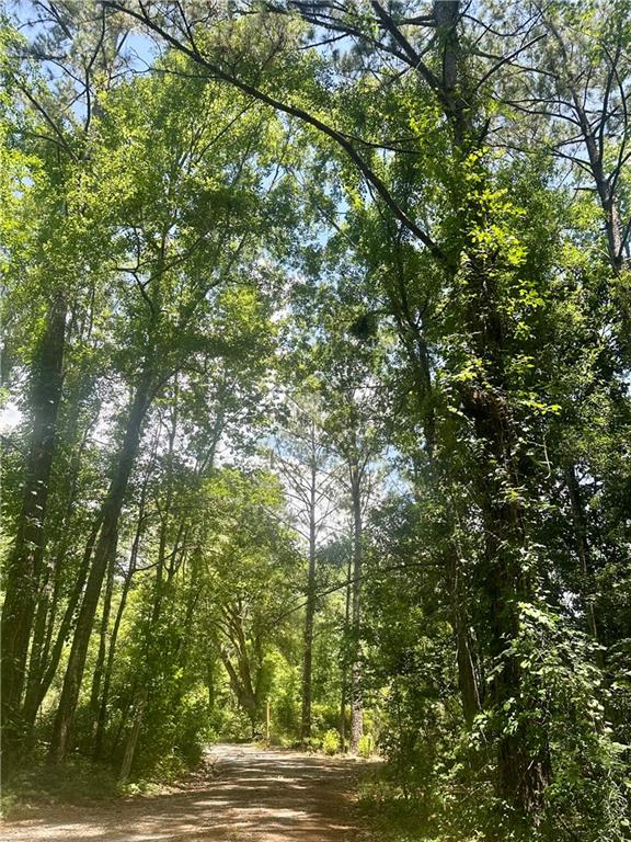 0 Harry Lemons Road Mandeville, LA 70448 - Photo 3 of 6