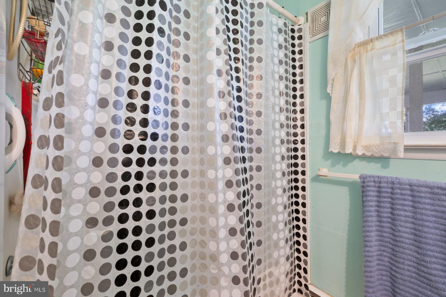 488 Bruce Avenue Odenton, MD 21113 - Photo 18 of 54 a bathroom with a shower curtain and a window