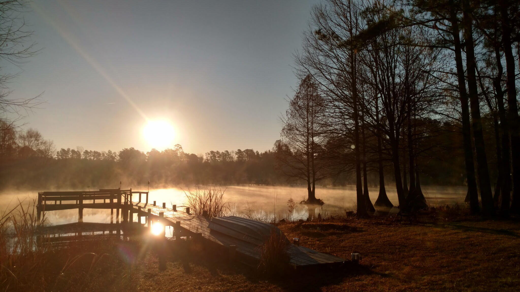 138 State Rd S-38-1754 Eutawville, SC 29048 - Photo 72 of 77